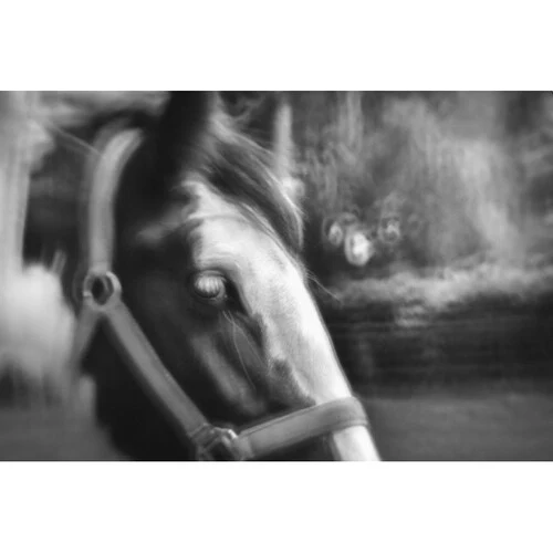 Lensbaby Fixed Body with Creative Bokeh Optic for Canon EF - Image 3