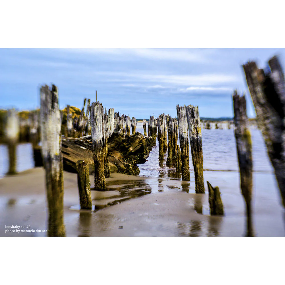 Lensbaby Sol 45mm f/3.5 Lens for Sony E Cameras - Image 14