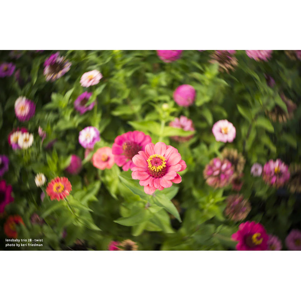 Lensbaby Trio 28mm f/3.5 Lens for Canon RF - Image 7