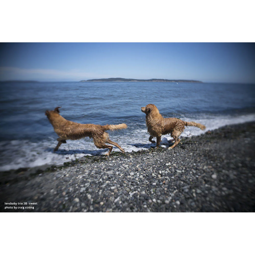 Lensbaby Trio 28mm f/3.5 Lens for Fujifilm X - Image 11