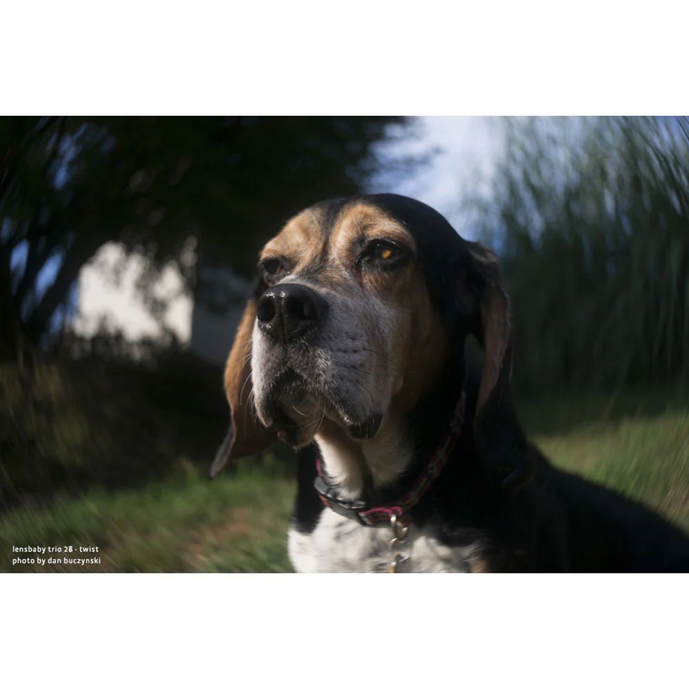 Lensbaby Trio 28mm f/3.5 Lens for Fujifilm X - Image 14