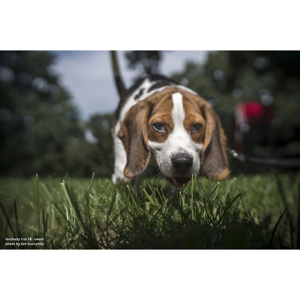 Lensbaby Trio 28mm f/3.5 Lens for Micro Four Thirds - Image 11